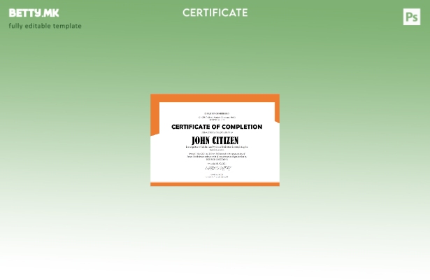 Модерен стил на САД Denz Engineering Pranship Cert шаблон